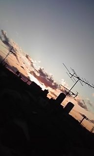 (untitled)