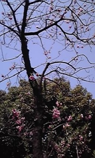 (untitled)