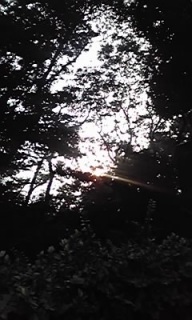 (untitled)
