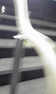 (untitled)