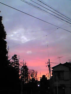 (untitled)
